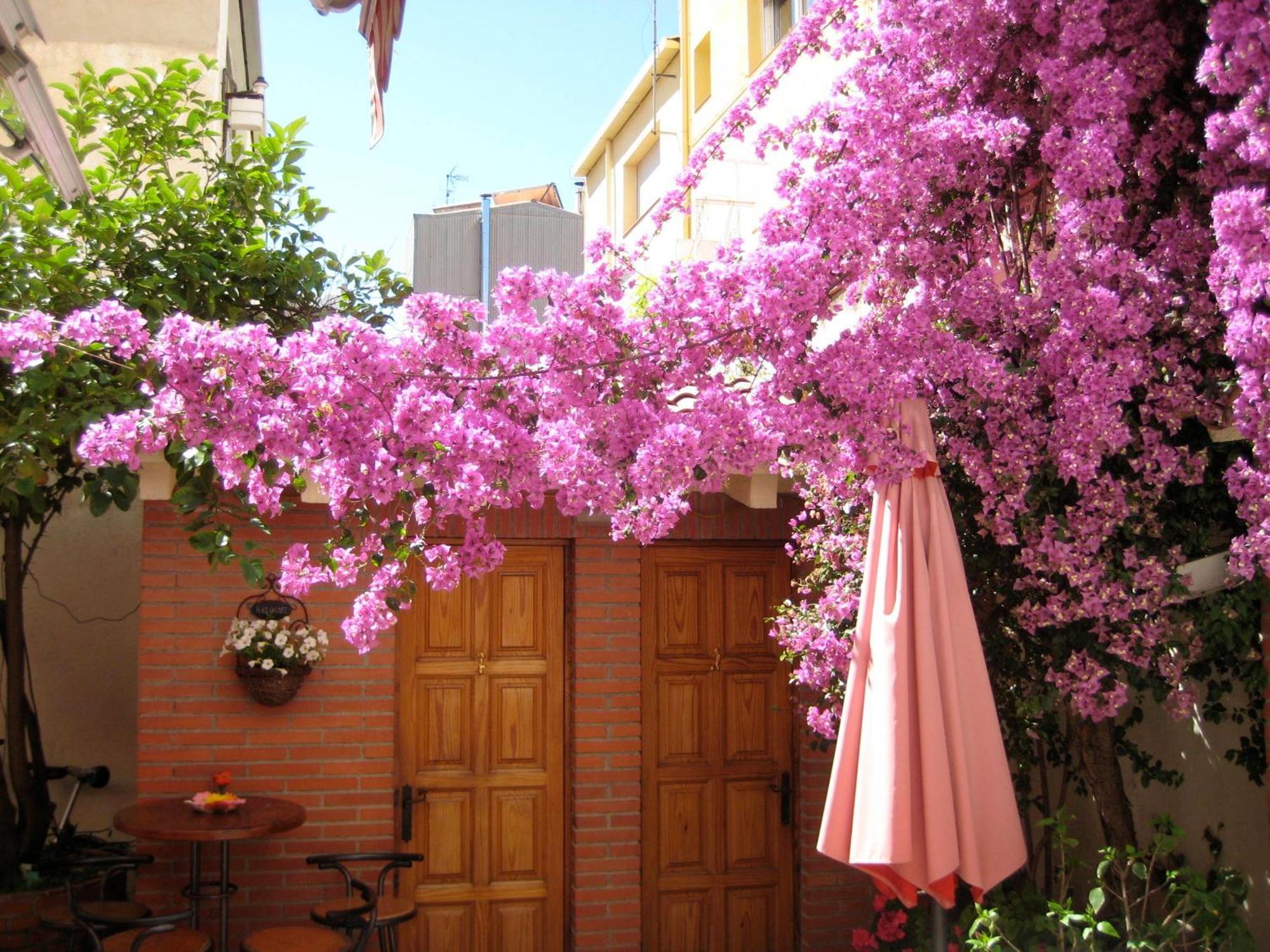 Pension Casa Austria Calella Ngoại thất bức ảnh