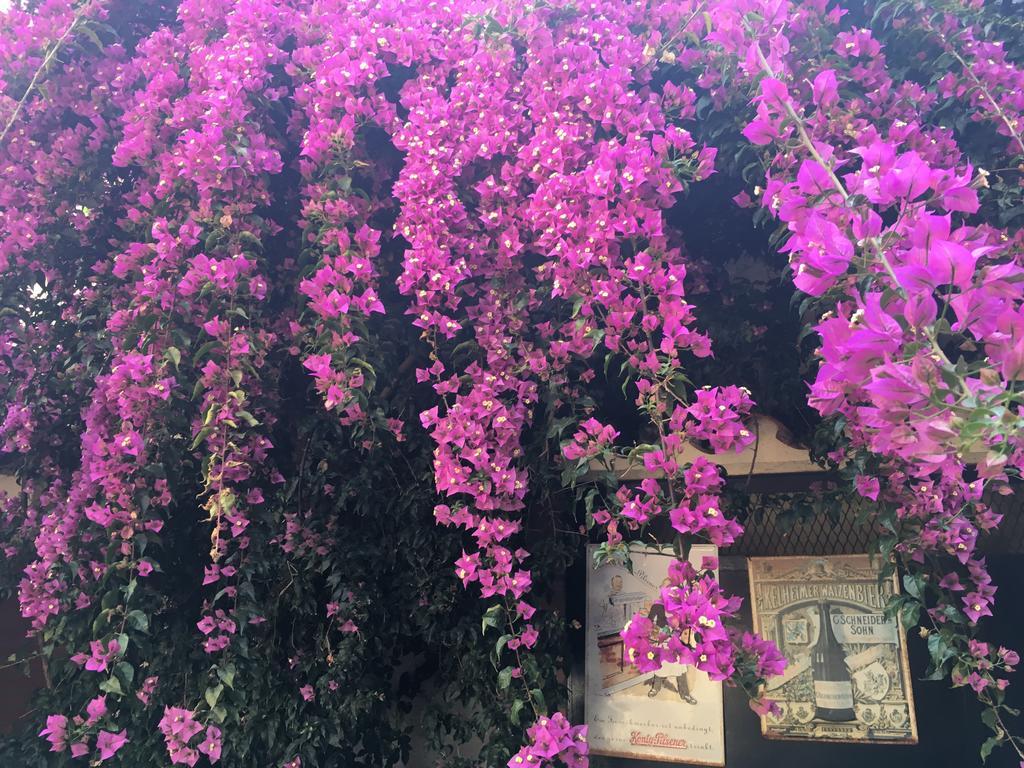 Pension Casa Austria Calella Ngoại thất bức ảnh